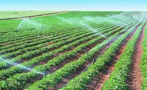 大屌抽插屁股视频农田高 效节水灌溉